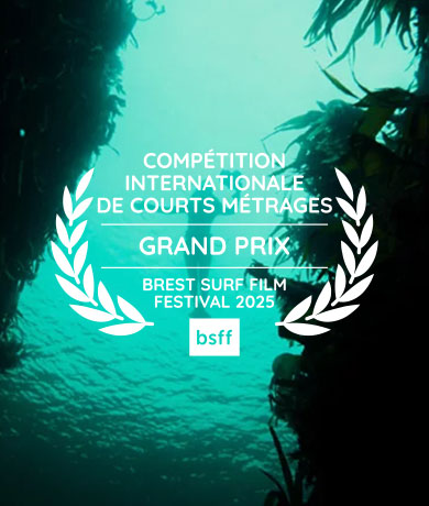 Salt - BSFF - Compétition Internationale de Courts Métrages - Grand Prix