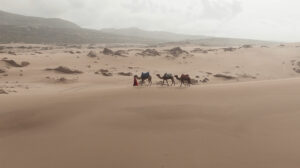 Brest Surf Film Festival Amazigh